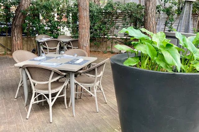 La Lolis by El Dorado Petit