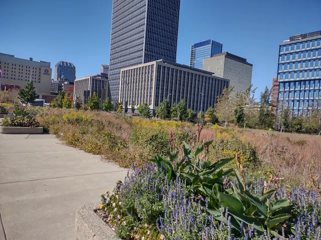 Presidential Place Park