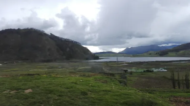 restaurant las palmeras