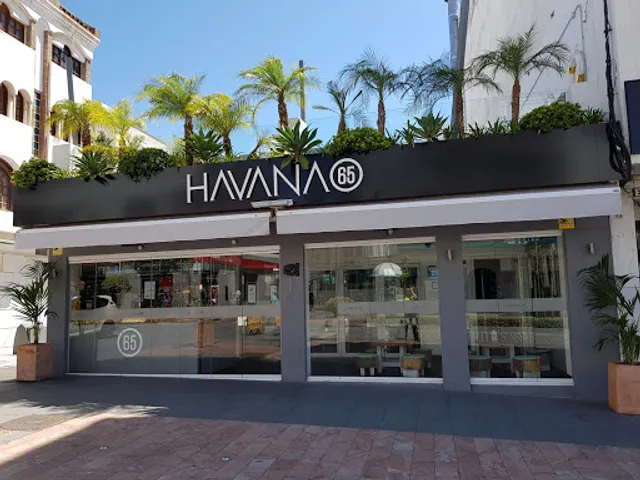 Havana 65