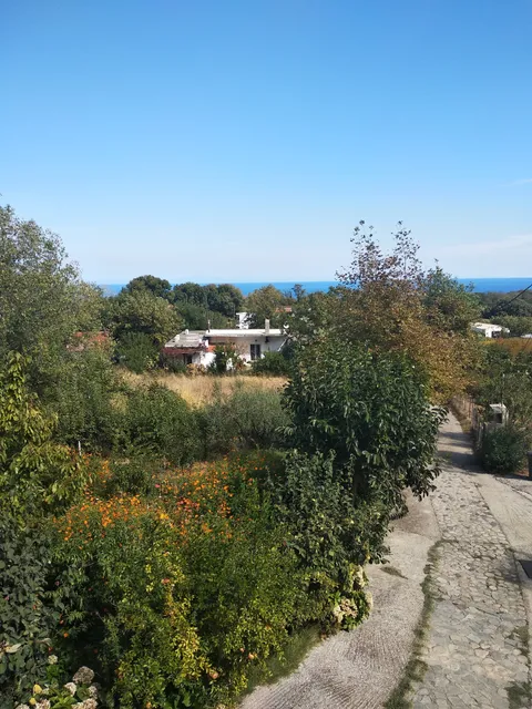 Panagiotis Apostoloudias Rooms.