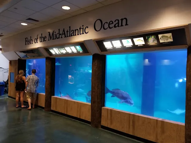Atlantic City Aquarium