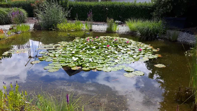 Ferienhäuschen Lore