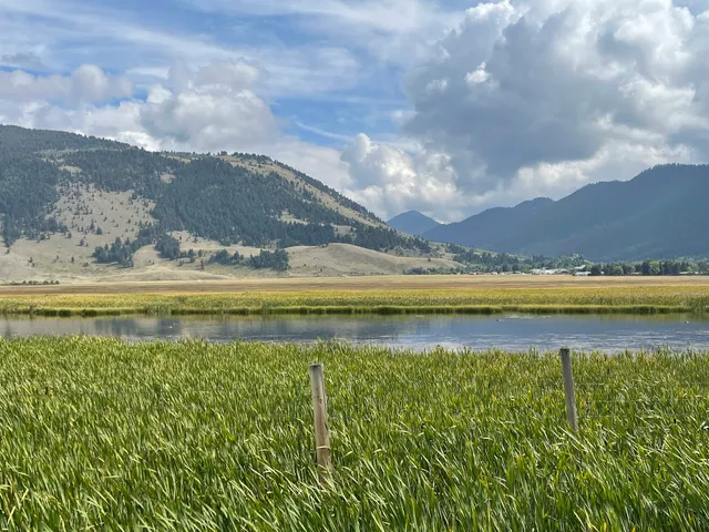 National Elk Refuge Observation Viewing Area
