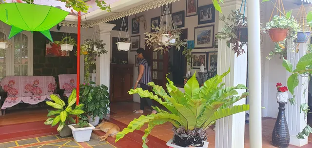 Orchid Villa homestay