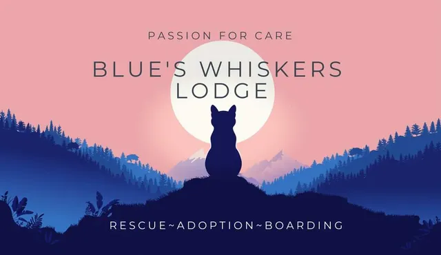 Blue's Whiskers Lodge/Cat Cafe