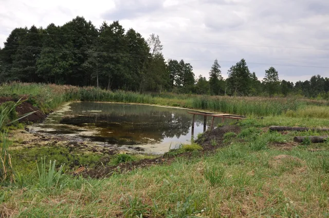 Agroturystyka pod Gruszą Kajaki Domek do wynajęcia