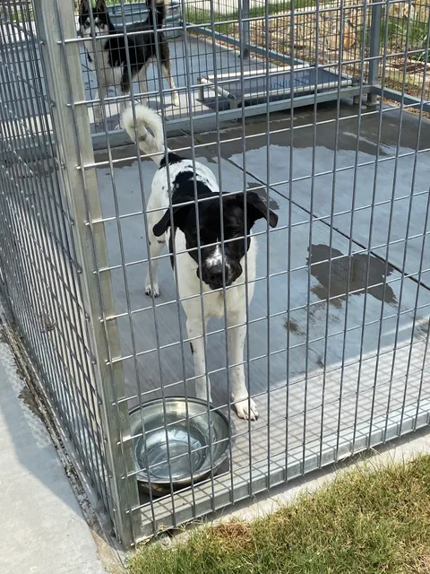 Fort Worth Animal Care and Control Shelter - North Facility