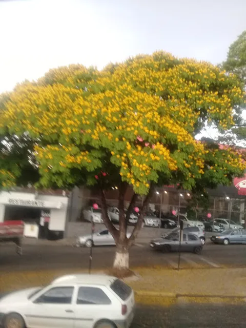 Restaurante dos Assados