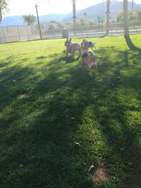 Civic Center Dog Park