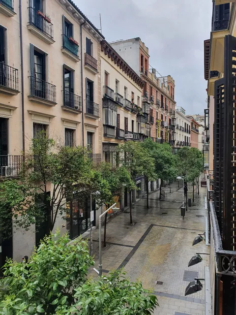 Le Petit Palü -Fuencarral