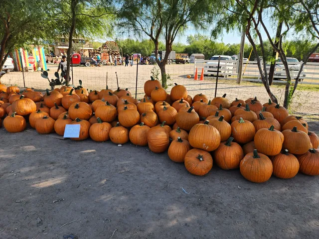 Maddie's Pumpkin Patch McAllen)