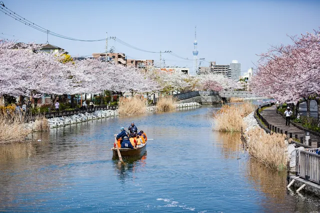 Shinkawa Sakura Hall