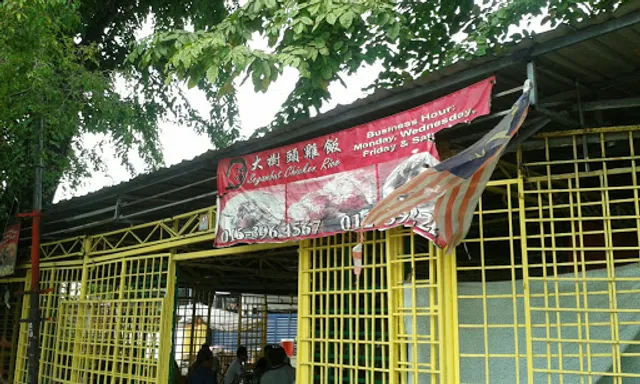 Big Tree Chicken Rice