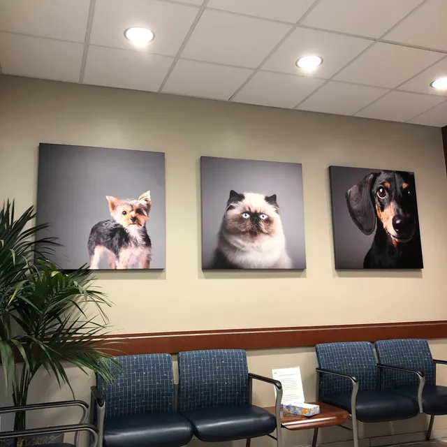 VCA Animal Specialty Group