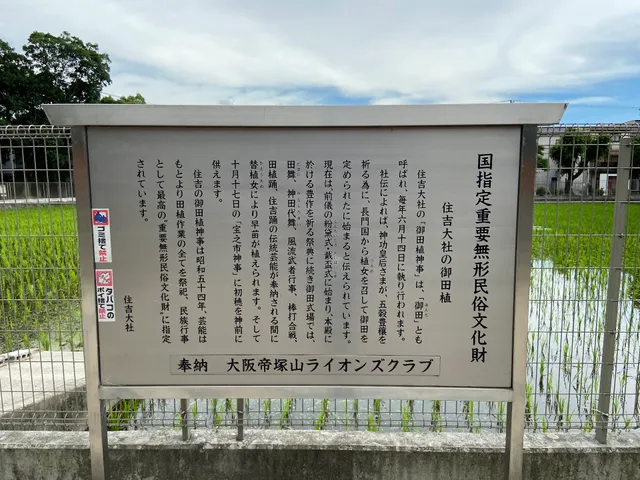 Onda, Sacred Rice Paddy - Sumiyoshi Taisha