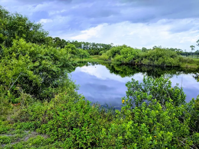 Haney Creek Dog Park