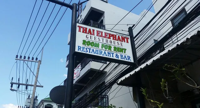 Thai Elephant