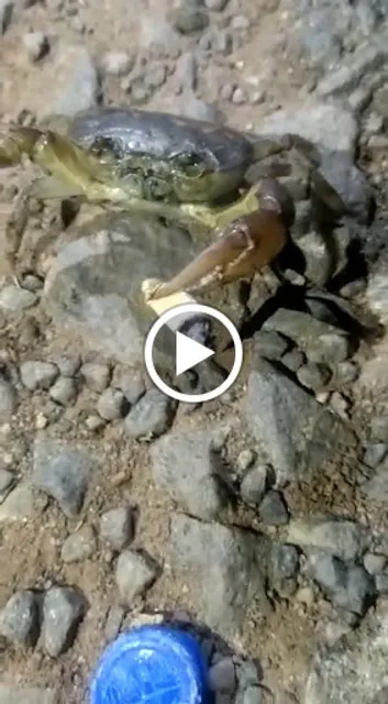 Cocina Industrial El Buen Sazon