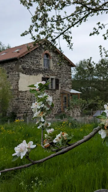 Graine de Jeux, ludogite