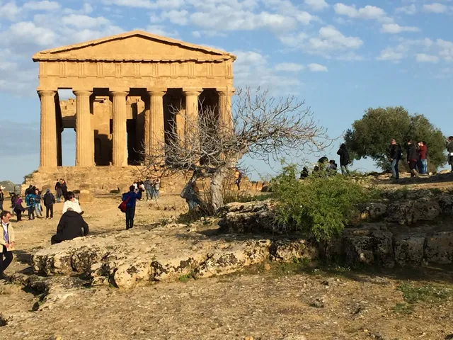 Ohana bed and breakfast