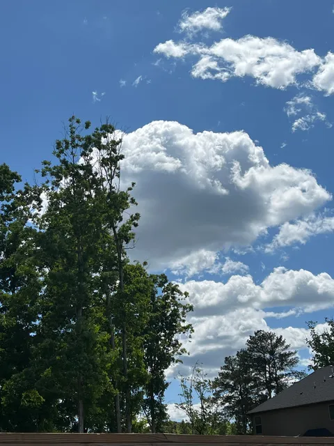 Rosa L. Burney Park Swimming Pool