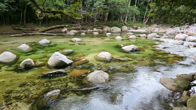 Mossman Gorge