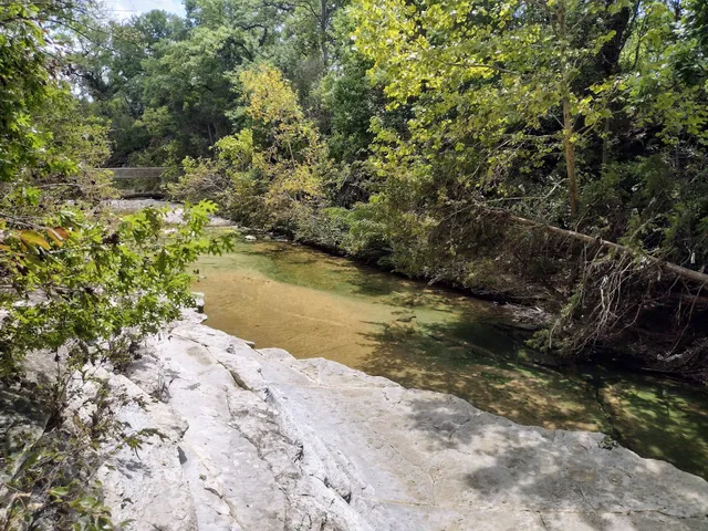 Kiest Park Conservation Area