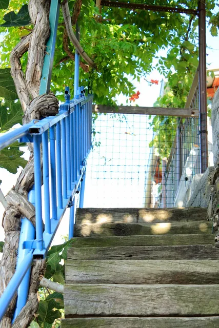 IlgattoCarla - B & B Alassio