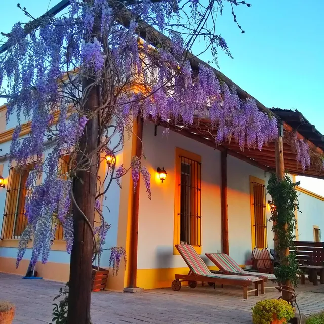 Finca La Penúltima - Posada