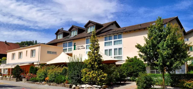 Hotel Felmis