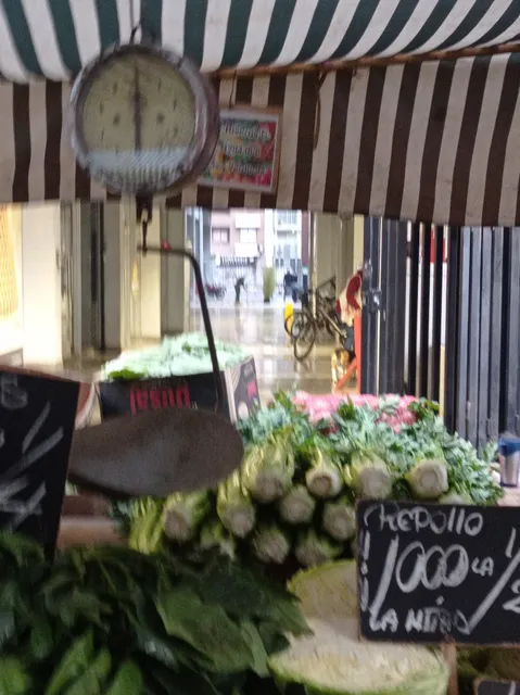 Feria Libre Fray Camilo Henríquez