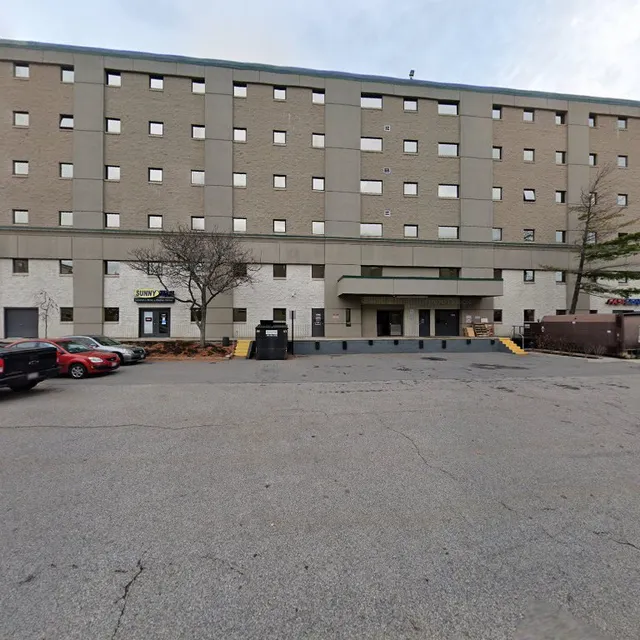 ALPHA NE ELECTRONICS