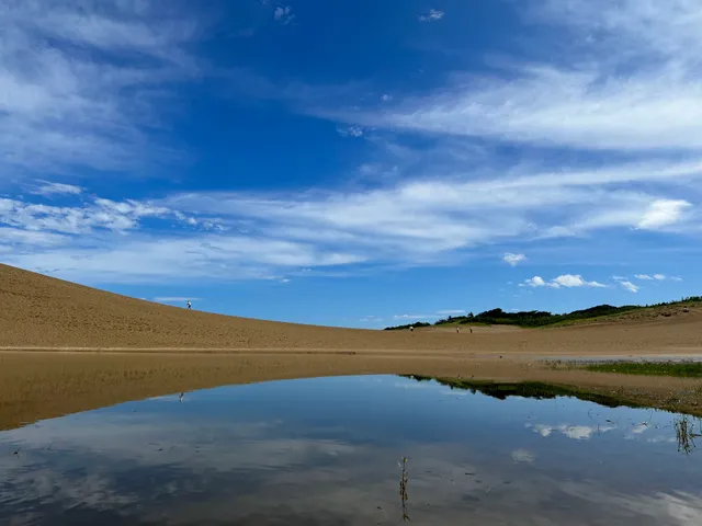 Tottori Sand Dunes - Oasis