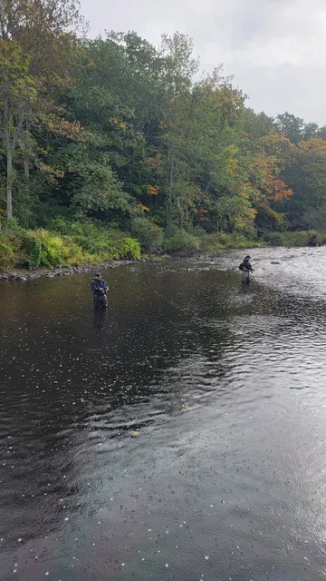 Catfish Creek Fishing Camp