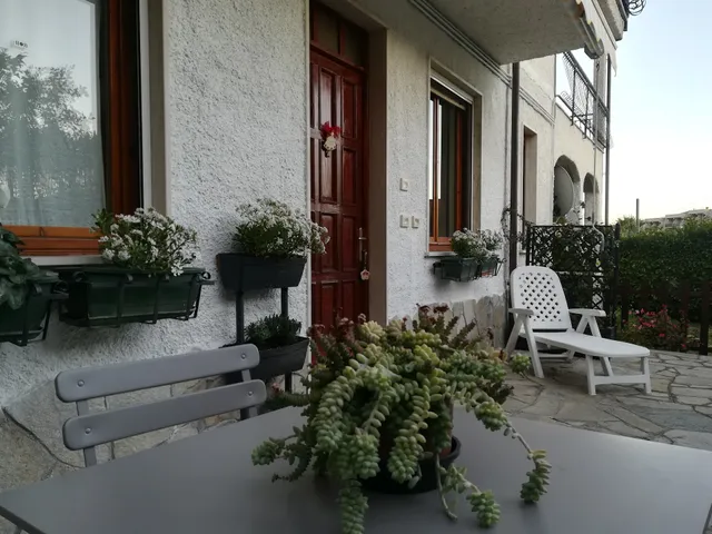 B&B Polline e Conchiglie CITR 009024 BeB 0007