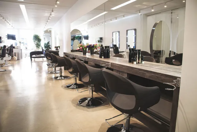 Vidov West Hair Salon - Haircut Hair Color Blowout & Hair Extension Specialist