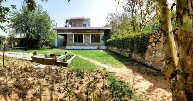 A Dog's Story, Jaipur