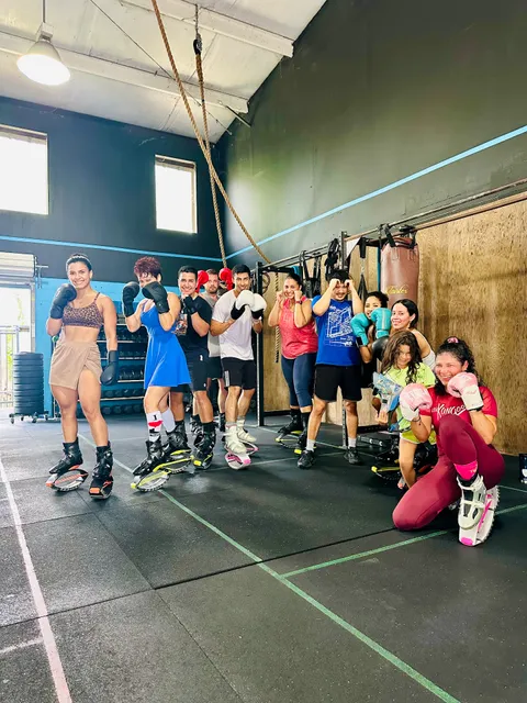 Kangoo Club Gainesville Fl