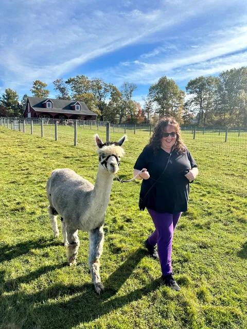Callowhill Farm Alpacas