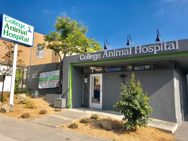 College Animal Hospital