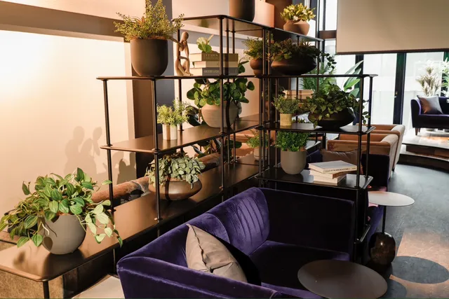 shisha cafe & bar suien in Osaka