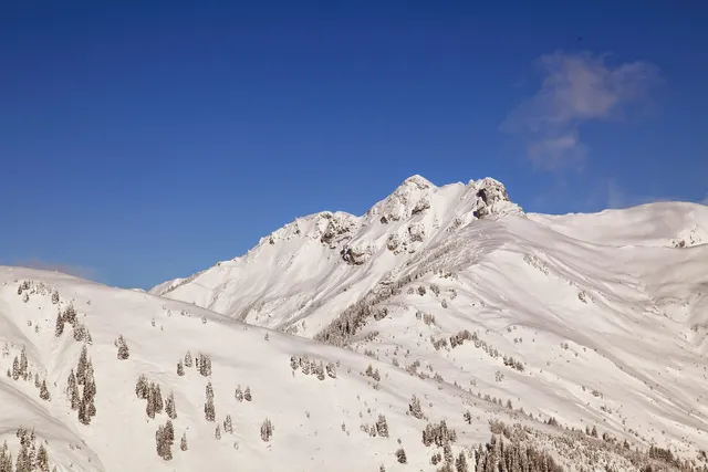 Appartementhaus Stockinger