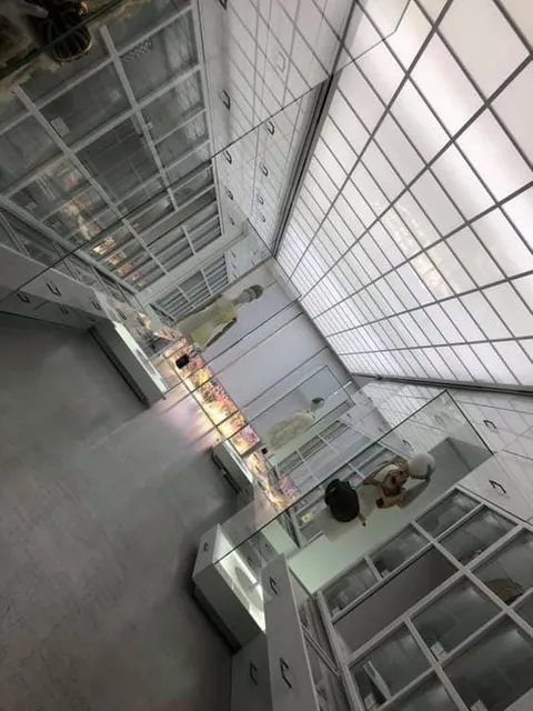 photo-3