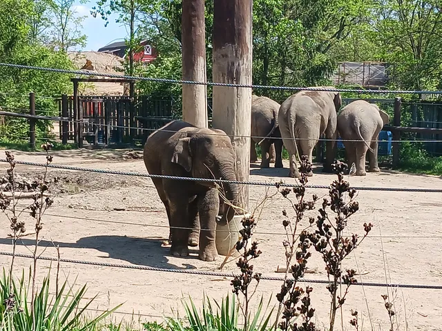 Columbus Zoo and Aquarium