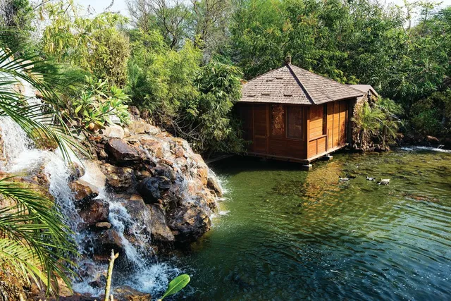 The Tree House Resort | Jaipur