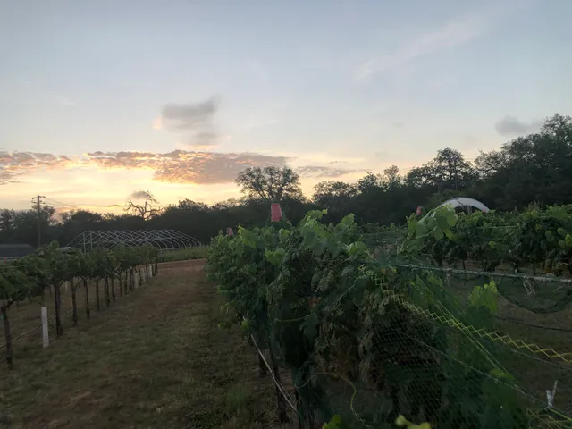 Texas Tech University- Fredericksburg