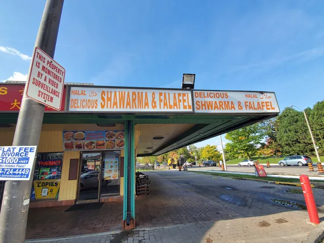Delicious Shawarma and Falafel