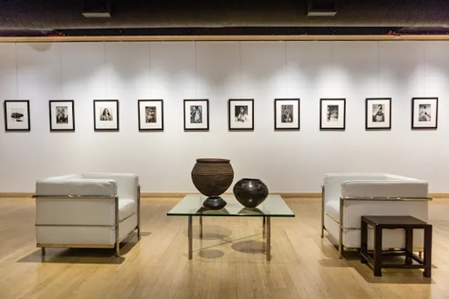 Throckmorton Fine Art, LLC