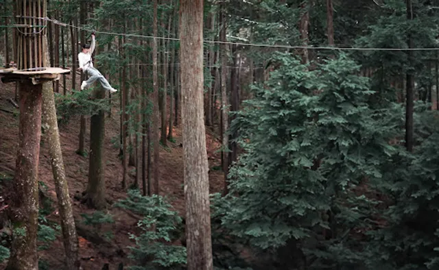 Forest Adventure Odawara